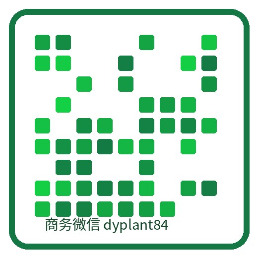 今日花赛